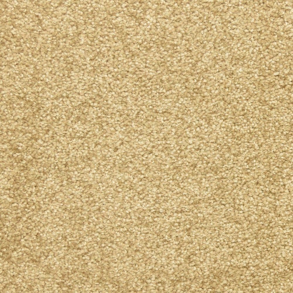 Dixie Home Debut Carpet in Taffy, , large