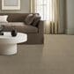 Shaw Tonal Comfort I Carpet in Honey Tea, , large