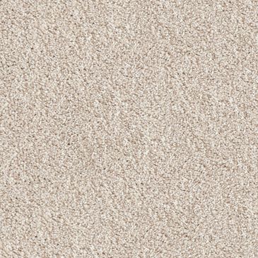 Dixie Home Swiss Alpine Carpet in Corgi, , large