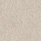 Dixie Home Swiss Alpine Carpet in Corgi, , large