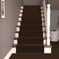 Dixie Home Galliard Carpet in Old World, , large