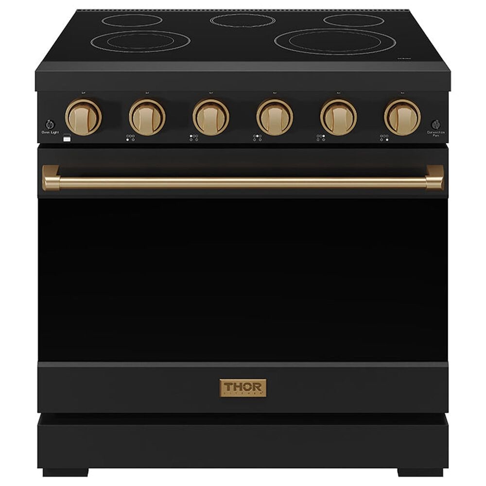 Thor Kitchen Gordon Ramsay 6 Cu. Ft. Professional Freestanding Electric Range with Bronze Handle Kit in Black, , large