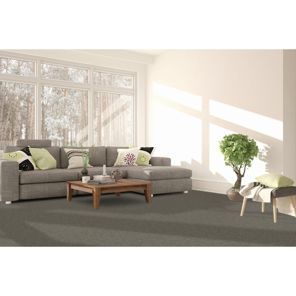 Dream Weaver Natural Attraction Carpet in Lodgestone, , large