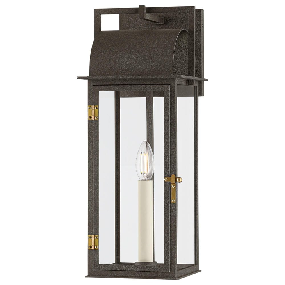 Troy Lighting Bohen 8" 1-Light Exterior Wall Sconce in French Iron and Patina Brass, , large