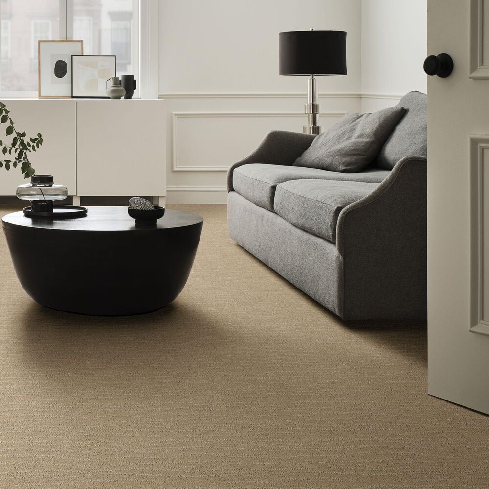 Anderson Tuftex Pose Carpet in Oak Ridge, , large