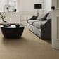Anderson Tuftex Pose Carpet in Oak Ridge, , large