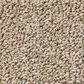 Anderson Tuftex Bali Carpet in Rattan, , large