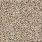 Anderson Tuftex Bali Carpet in Rattan, , large