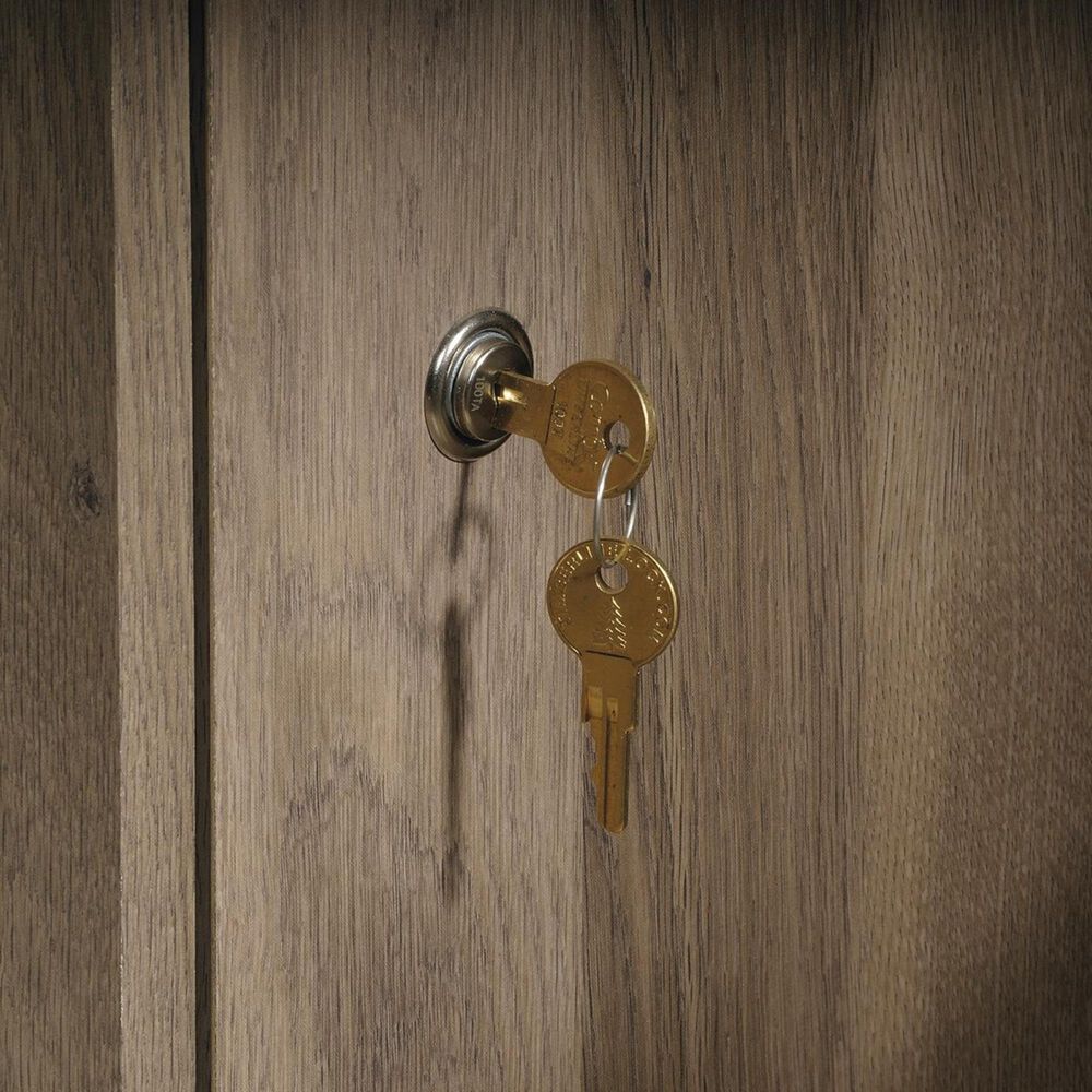 Featured image of post Sauder File Cabinet Salt Oak