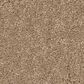 Anderson Tuftex Enduring Charm Carpet in Natural, , large