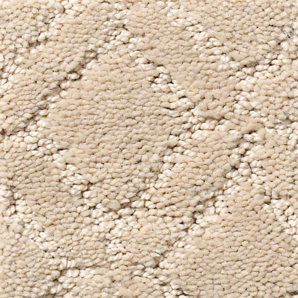 Anderson Tuftex Renoir Carpet in Oak Ridge, , large