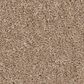 Anderson Tuftex Enchanting Carpet in Warm Sand, , large