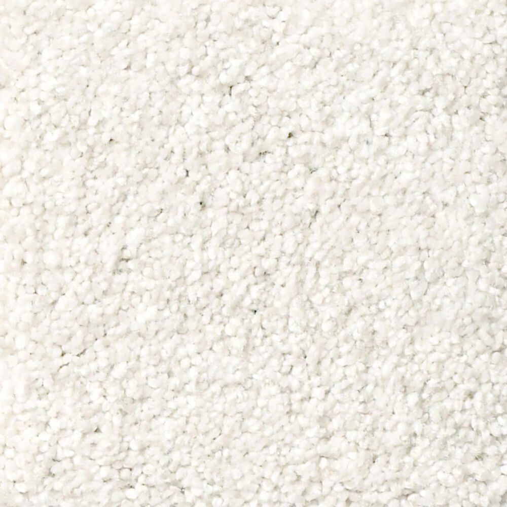 Shaw Find Your Comfort TT I Carpet in Gallery Opening, , large