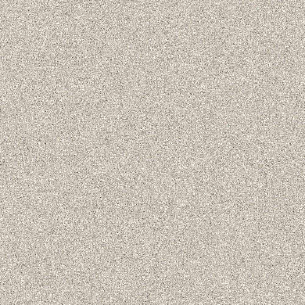 Shaw Tonal Comfort Ii Carpet in Warm Blanket, , large
