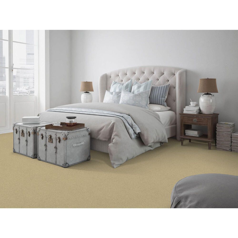 Dixie Home Simplicity Carpet in Driftwood, , large