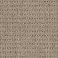 Dixie Home Country Home Carpet in Cedar, , large