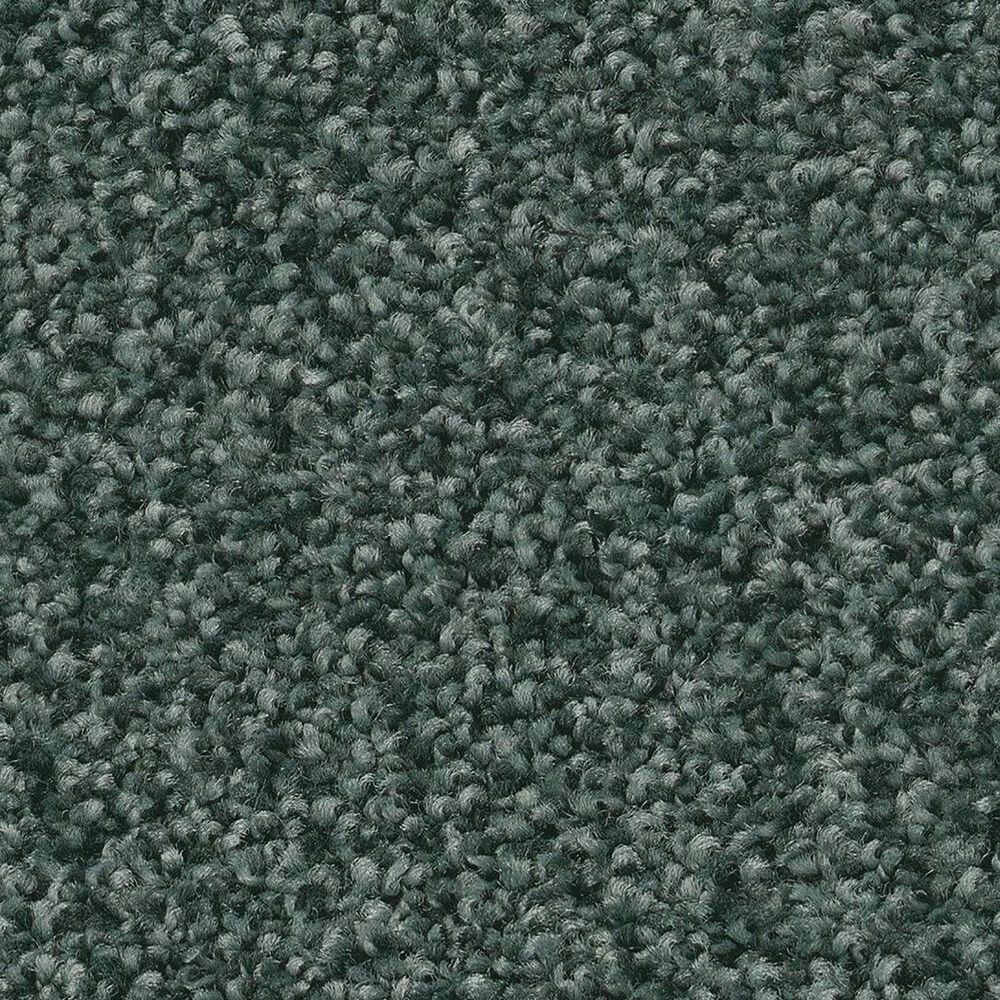 Shaw Tonal Comfort I Carpet in Bold Moves, , large