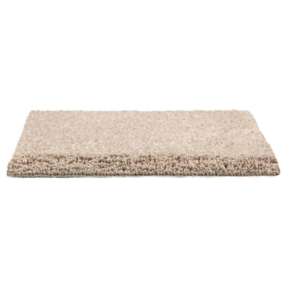 Mohawk Pleasant Touch Carpet in Belvedere, , large