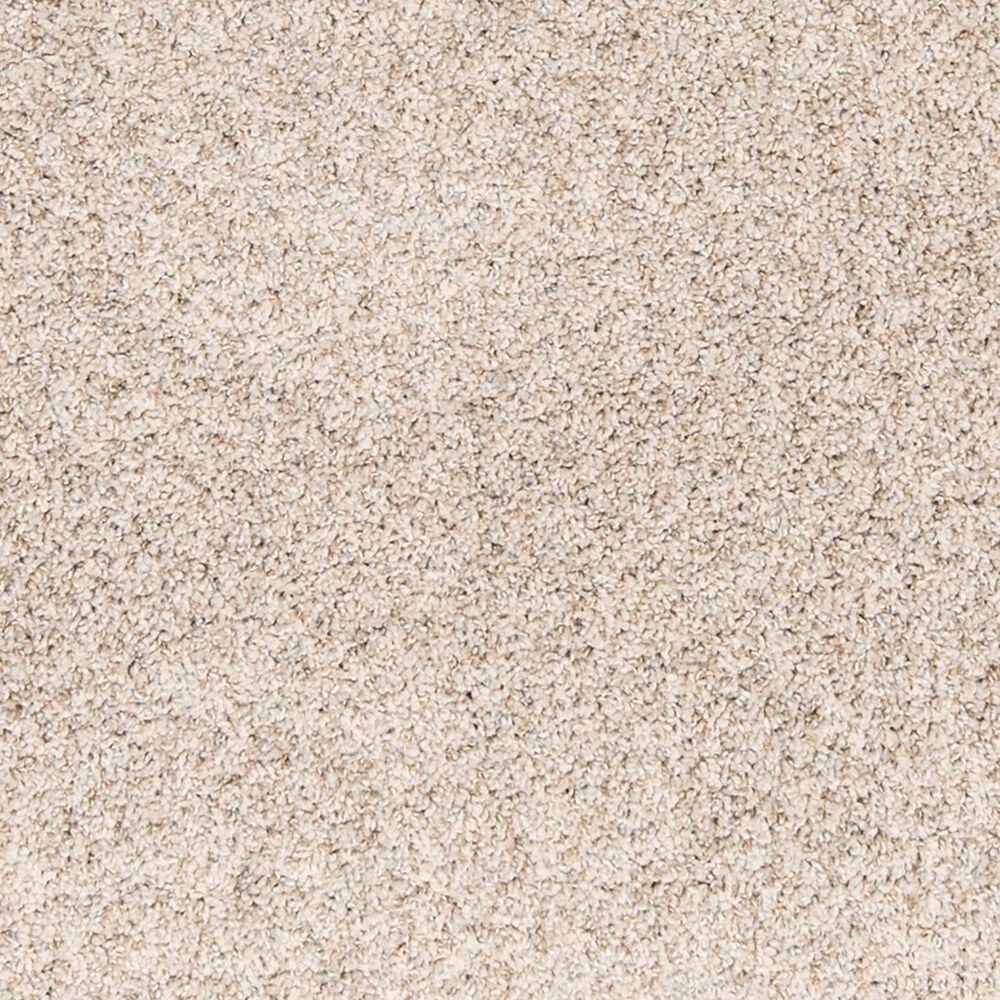 Mohawk Paw Pathway Carpet in Breeze, , large