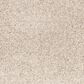 Mohawk Paw Pathway Carpet in Breeze, , large