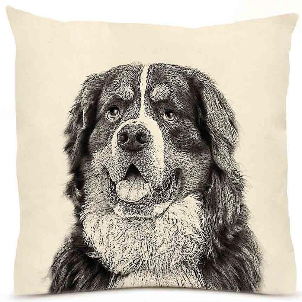 Eric & Christopher Bernese Mountain Dog 20" x 20" Throw Pillow in Natural, , large
