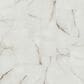 Shaw Astoria Oyster 12" x 24" Polished Porcelain Tile, , large