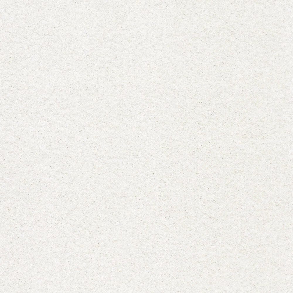 Shaw Tonal Comfort Ii Carpet in Gallery Opening, , large