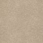 Shaw Tonal Comfort I Carpet in Walk On The Beach, , large