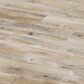 Jaeckle Distributors Naturelle+ Plus Agree 7" x 48" Luxury Vinyl Plank, , large