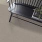 Shaw Finely Detailed Carpet in Warm Taupe, , large