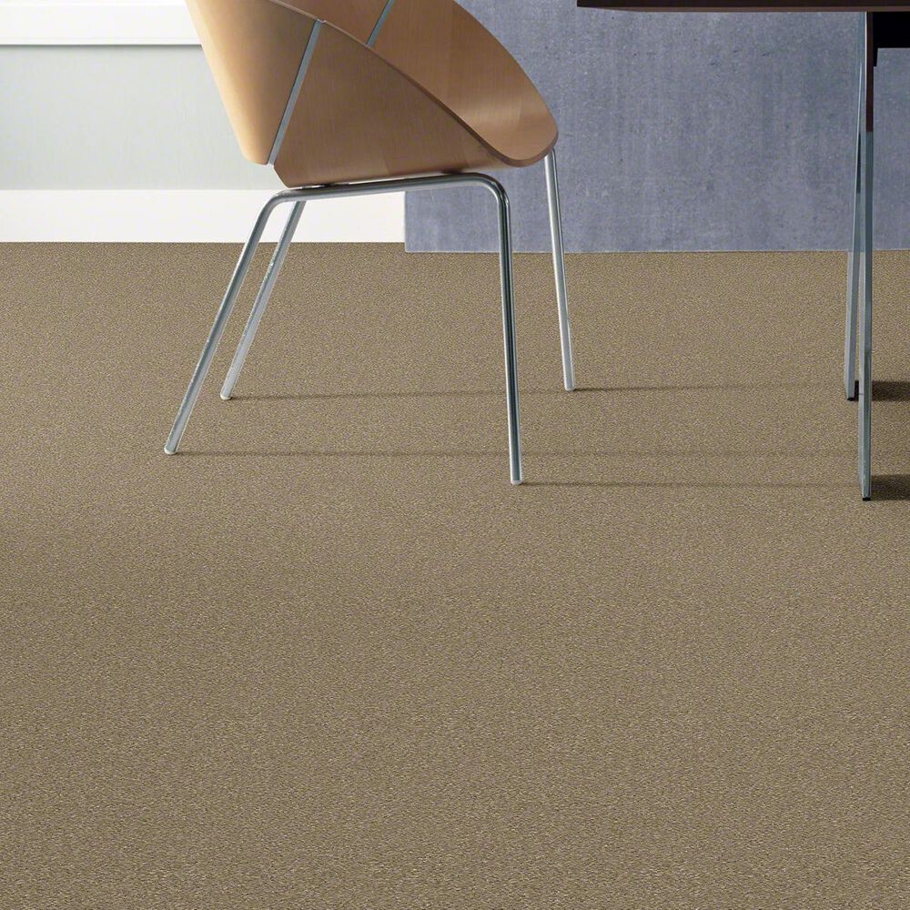Philadelphia Basic Rules Carpet in Khaki, , large