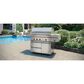 Wolf Appliances 13" Liquid Propane Side Burner in Stainless Steel, , large