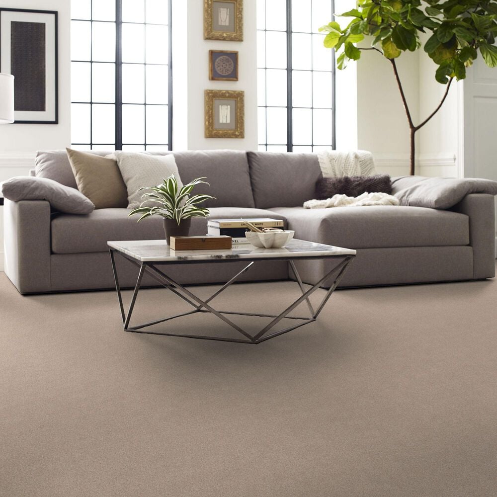 Shaw Comforting I Carpet in Shadow, , large