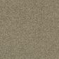 Shaw Making The Rules III Carpet in Biscotti, , large