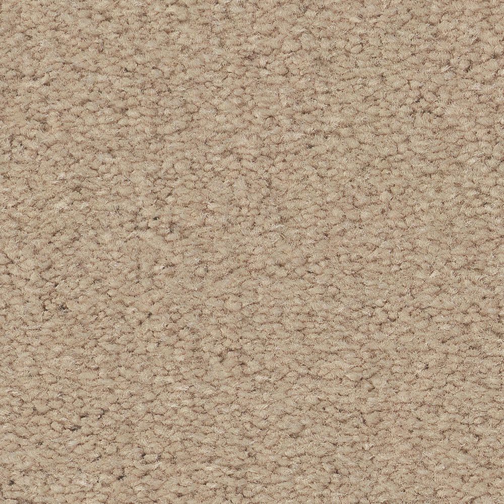 Anderson Tuftex Finery Carpet in Cashmere, , large