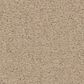 Anderson Tuftex Finery Carpet in Cashmere, , large