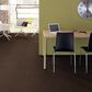 Shaw Find Your Comfort TT II Carpet in Chocolate Treat, , large