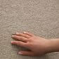 Philadelphia Champagne Taste I Carpet in Straw Hat, , large