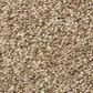 Shaw Tonal Comfort Ii Carpet in Falling Leaves, , large