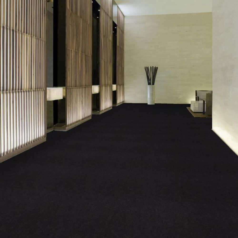 Shaw Emphatic II 36 Carpet in Coal Mine, , large