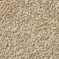 Shaw Find Your Comfort NS II Carpet in Honey Tea, , large