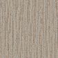 Dixie Home Wilderness Carpet in Stone, , large