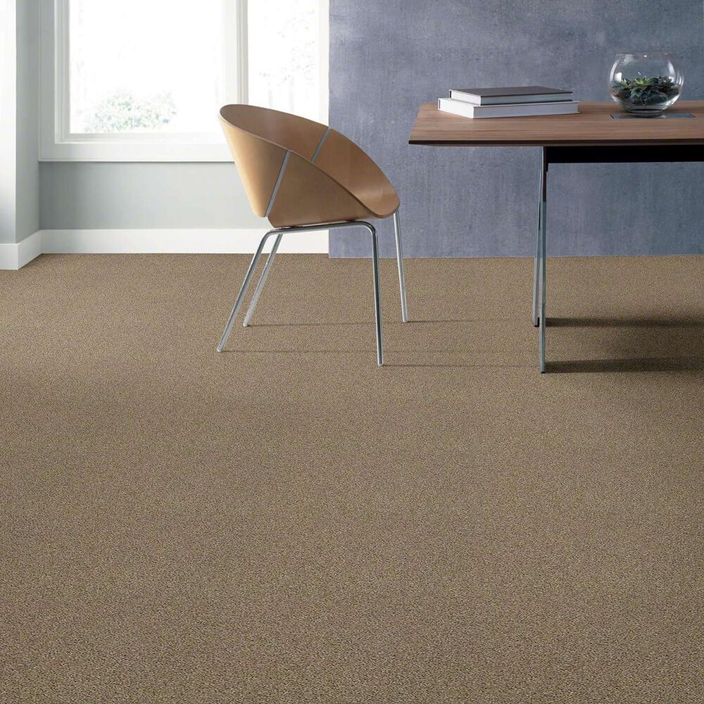 Shaw Acadia Park Carpet in Canoe, , large
