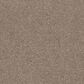 Mohawk Quality Life Carpet in Arctic, , large