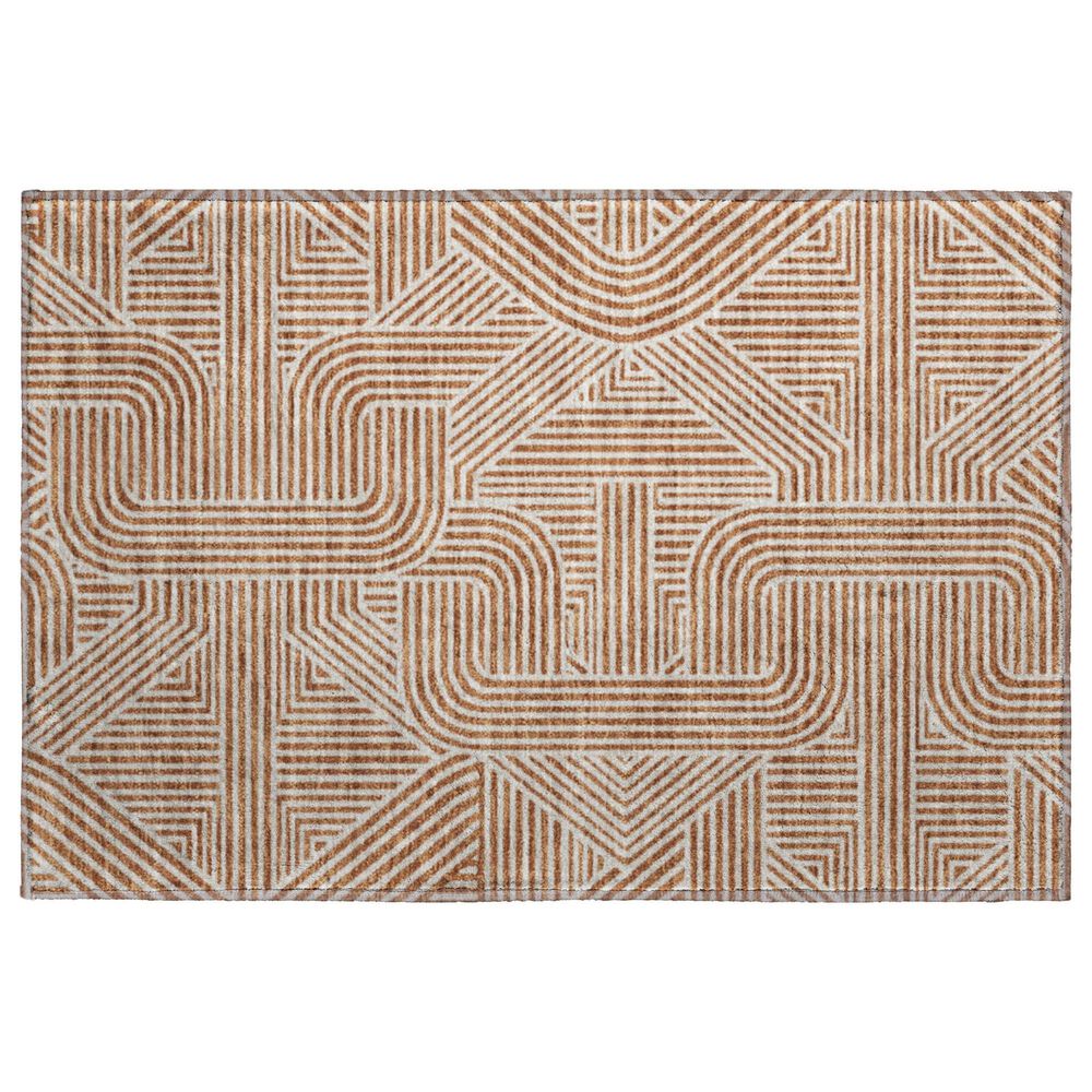 Dalyn Rug Company The Reserve TR14 Paprika 2"6" x 3"10" Indoor/Outdoor Area Rug, , large