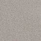 Dream Weaver Cape Cod Carpet in Chrome, , large
