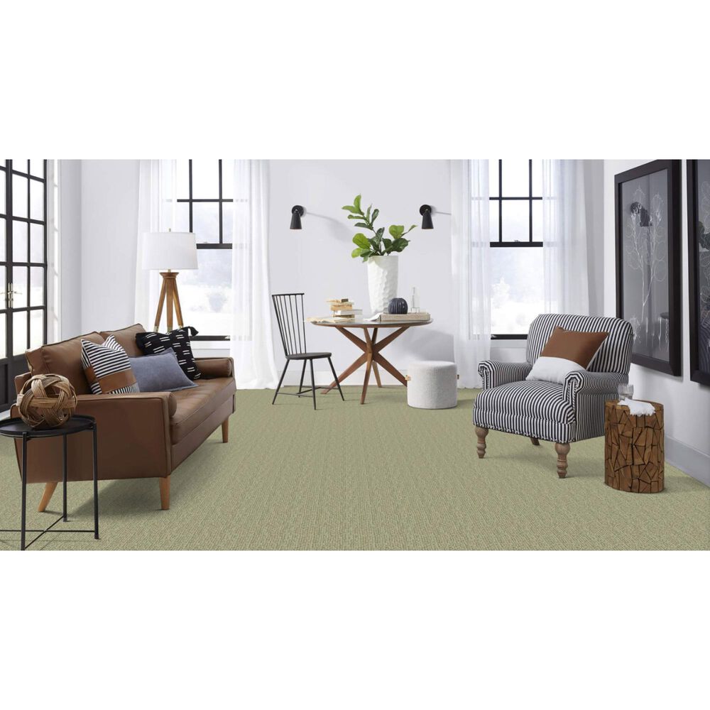 Masland Mesa Verde Carpet in Fairmont, , large