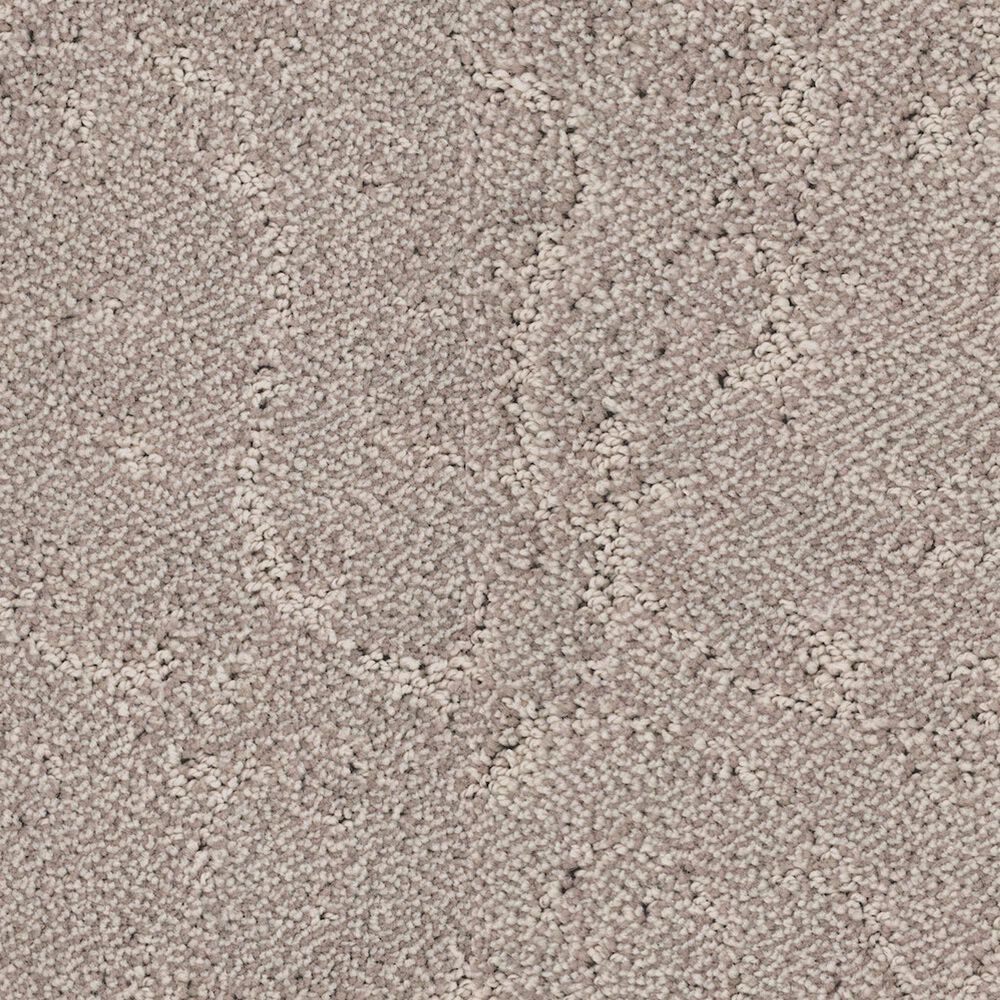 Dixie Home High Hopes Carpet in Thicket, , large
