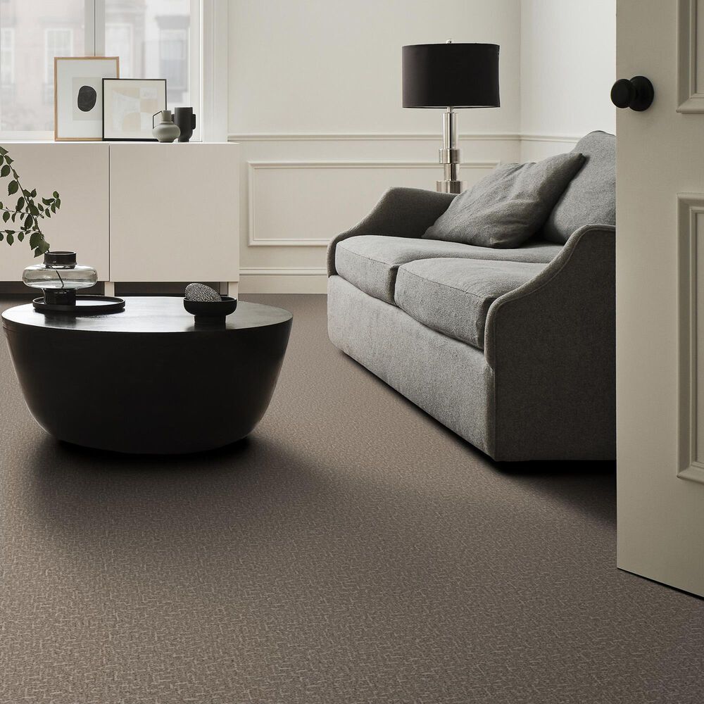 Anderson Tuftex Knickknack Carpet in Rocky Road, , large