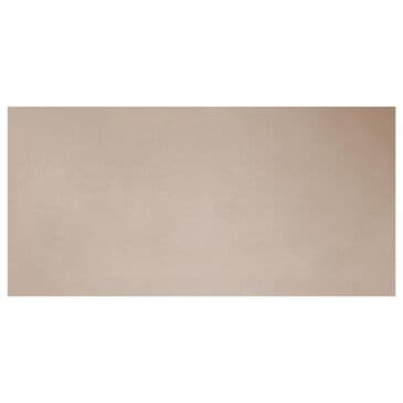 Emser Spectra Latte 12" x 24" Matte Porcelain Tile, , large